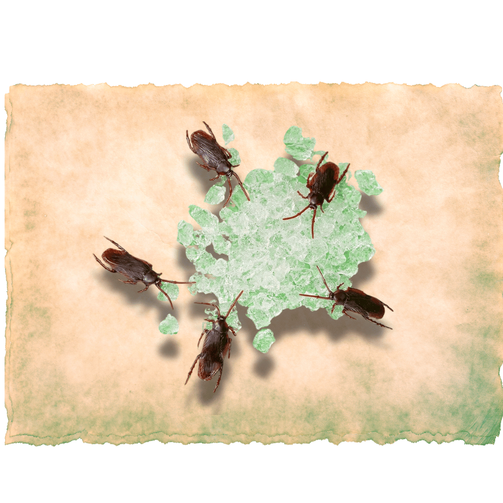 Extra Large Cricket Breeding Kit – G&T Country Living