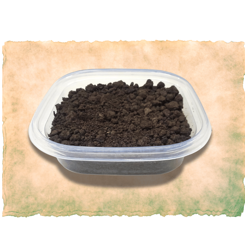 Cricket Breeding Kit – G&T Country Living - Beginner-Friendly