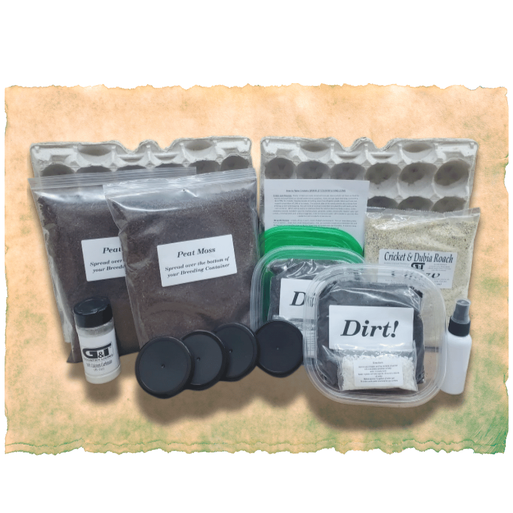Extra Large Cricket Breeding Kit – G&T Country Living