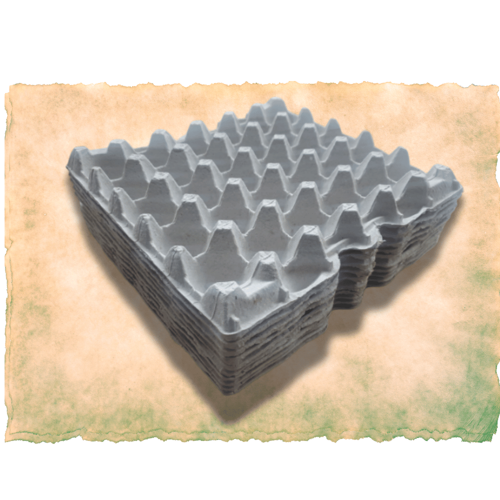 Cricket Breeding Kit – G&T Country Living - Beginner-Friendly