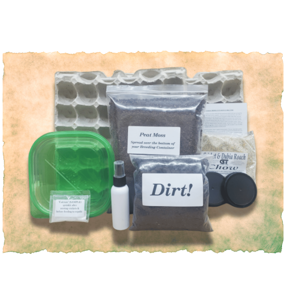 Cricket Breeding Kit – G&T Country Living - Beginner-Friendly