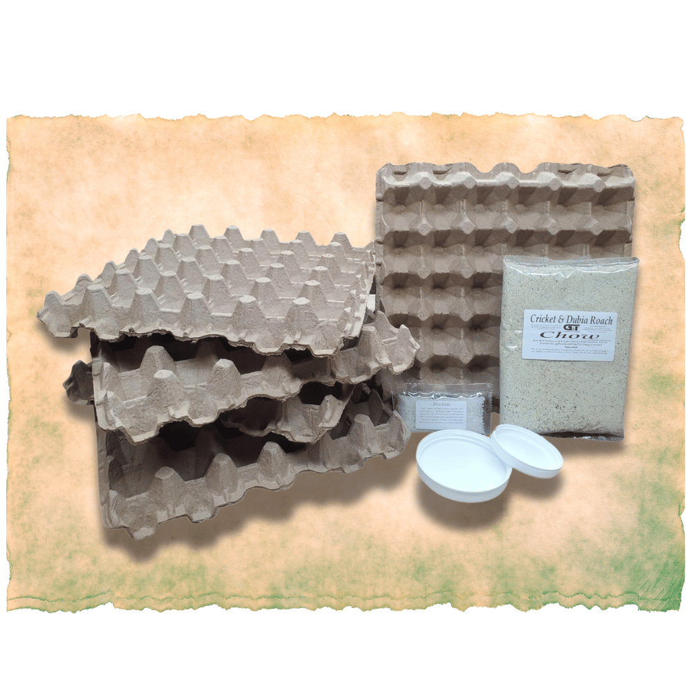 G&T Country Living – Dubia Roach Breeding Kit | Premium Feed & Setup for Healthy Roach Colonies