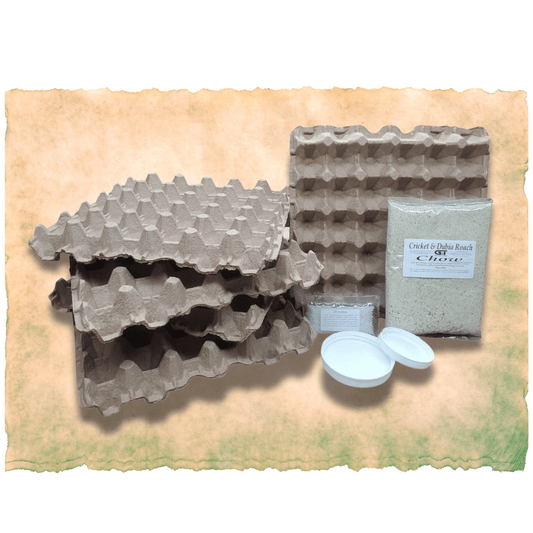 G&T Country Living – Dubia Roach Breeding Kit | Premium Feed & Setup for Healthy Roach Colonies