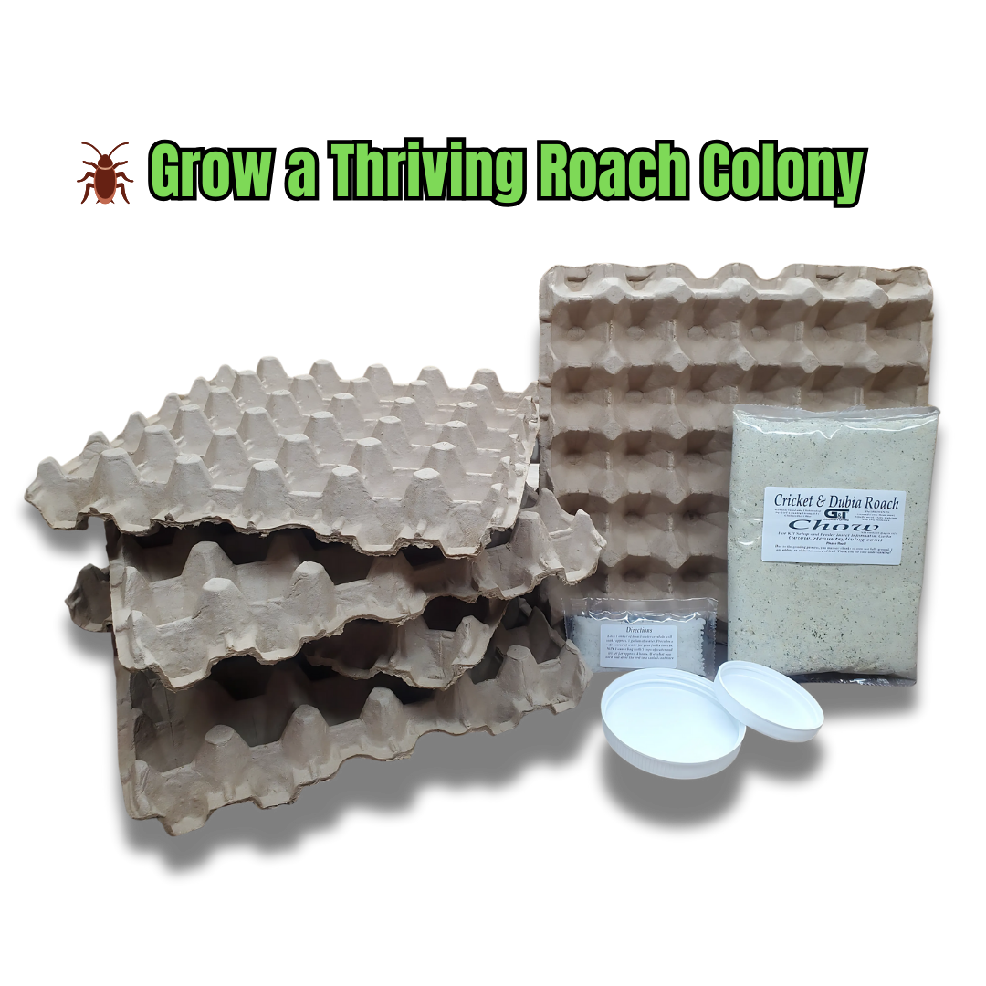 G&T Country Living – Dubia Roach Breeding Kit | Premium Feed & Setup for Healthy Roach Colonies