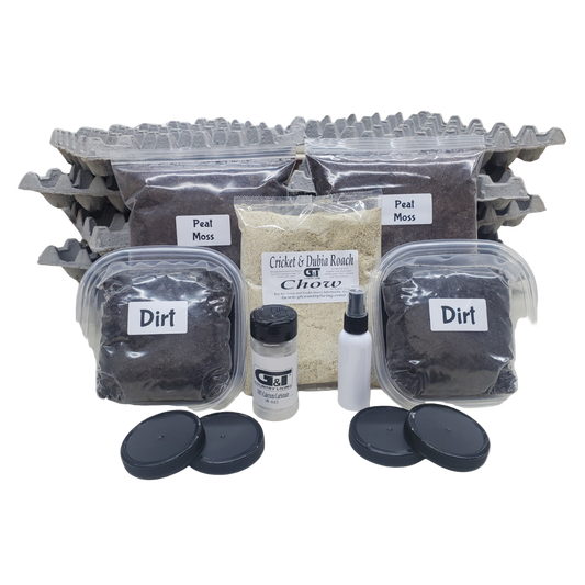 Extra Large Cricket Breeding Kit – G&T Country Living