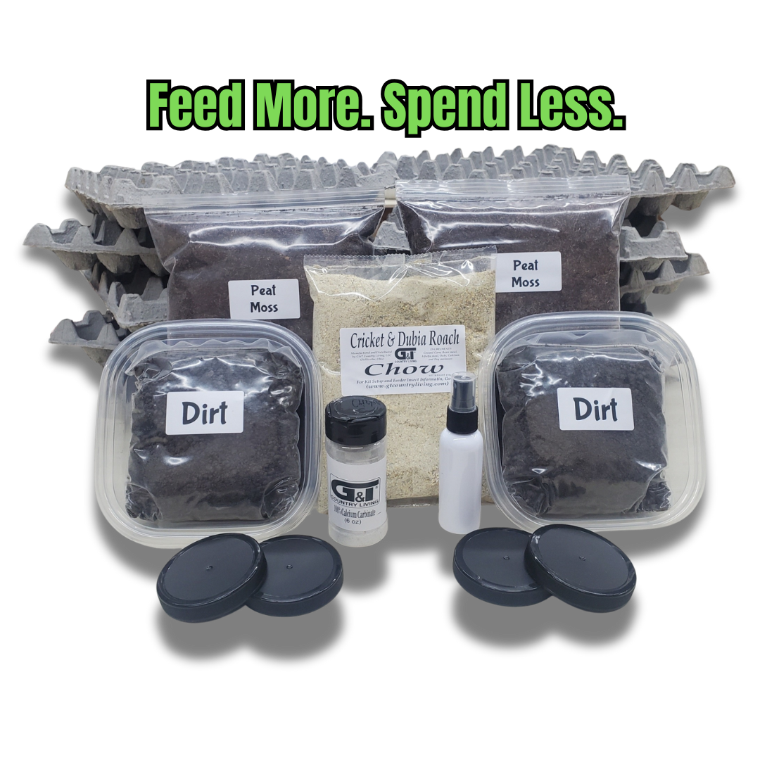 Extra Large Cricket Breeding Kit – G&T Country Living