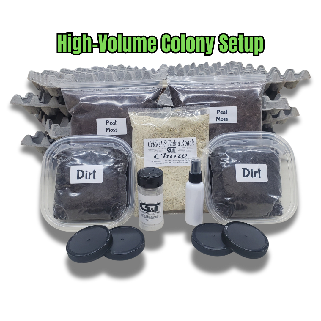 Extra Large Cricket Breeding Kit – G&T Country Living