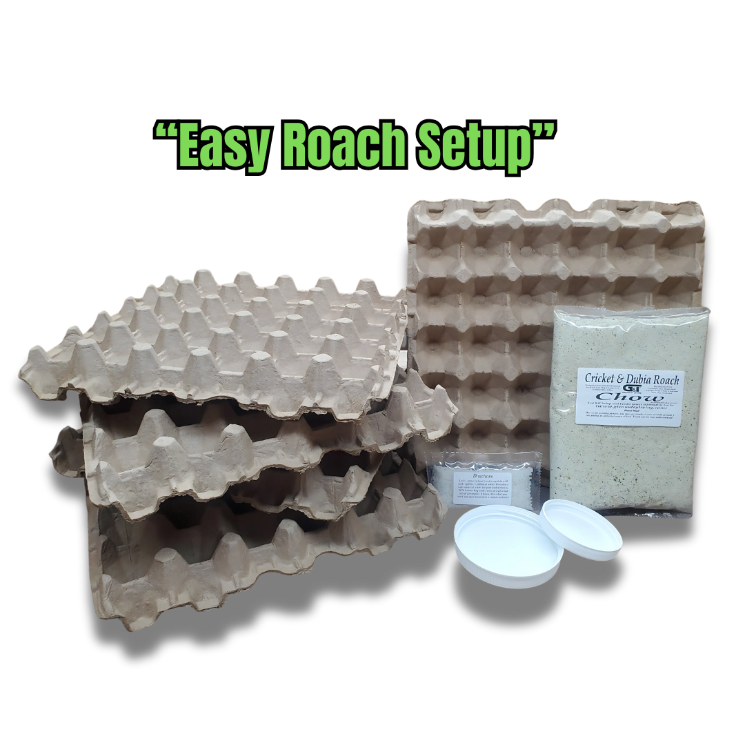“GT Country Living Dubia Roach Kit with chow, egg flats, and supplies for easy colony care.”